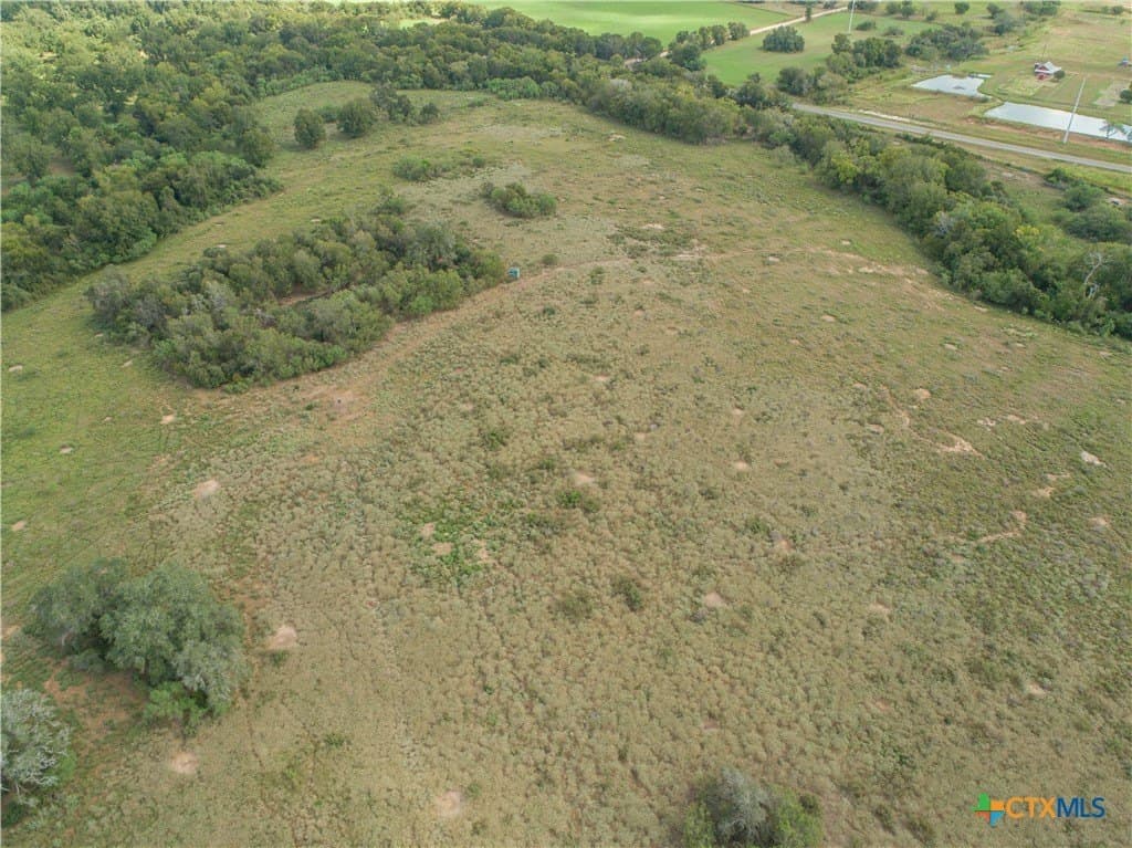 140 acres in DeWitt County - photo 5