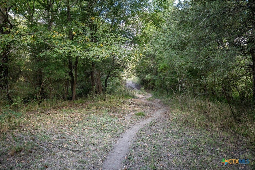 140 acres in DeWitt County - photo 34