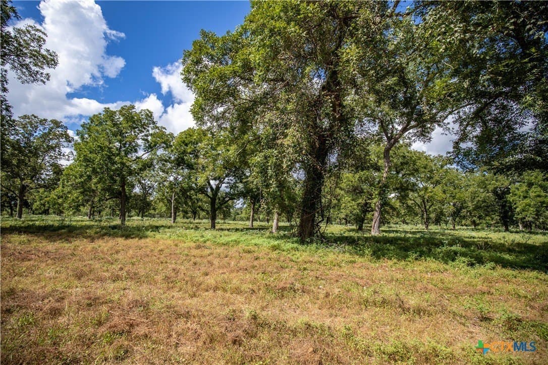 140 acres in DeWitt County - photo 36