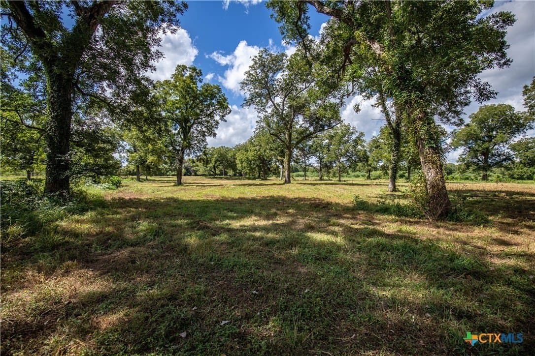 140 acres in DeWitt County - photo 39