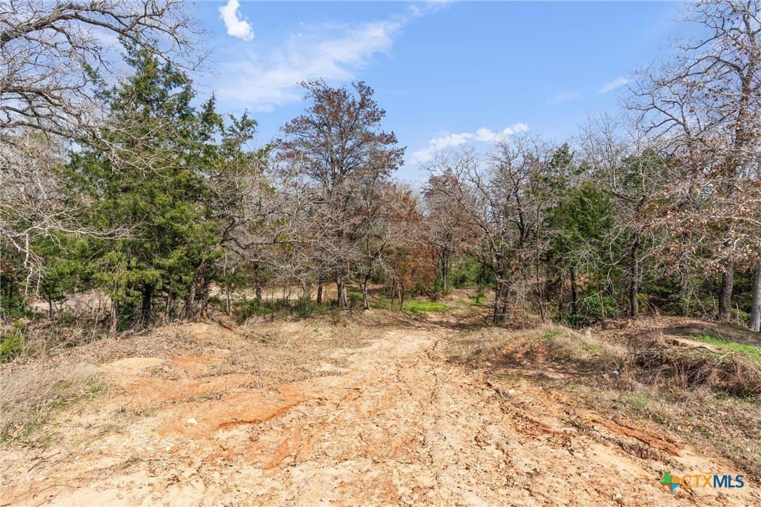 10.07 acres in Milam County - photo 19