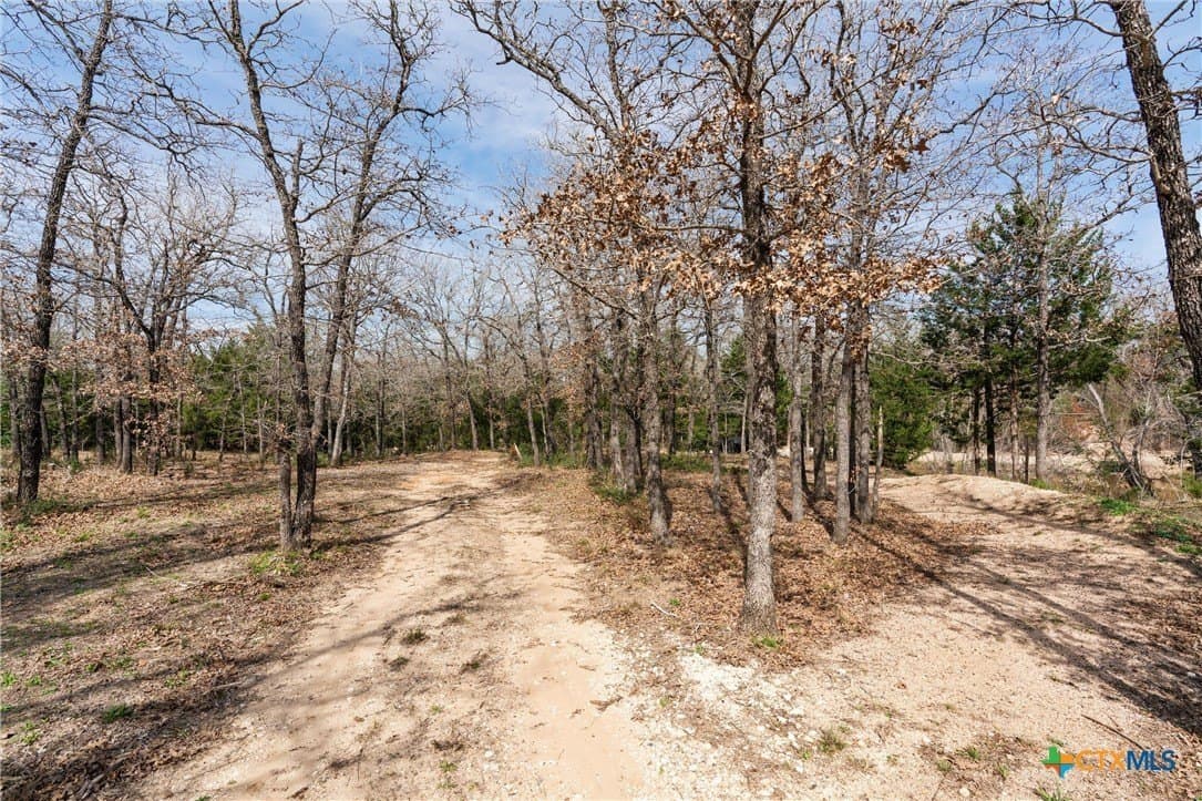 10.07 acres in Milam County - photo 22