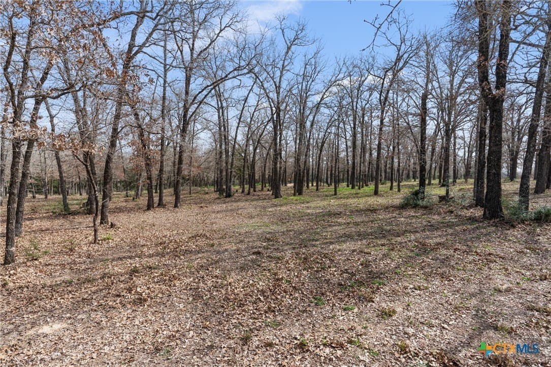 10.07 acres in Milam County - photo 25