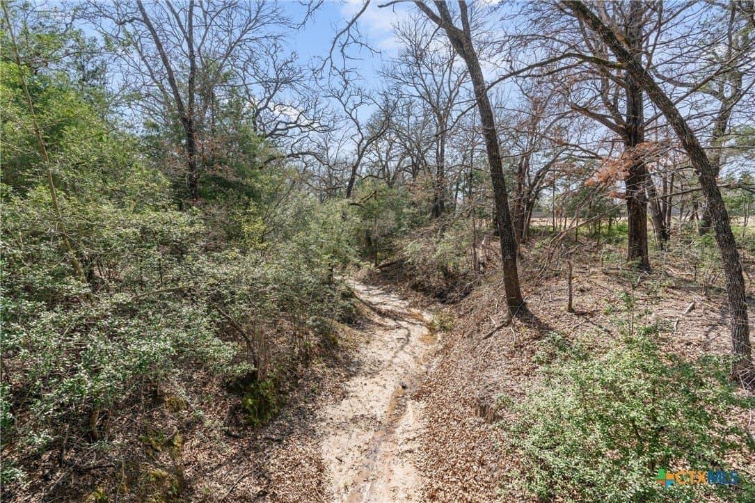10.07 acres in Milam County - photo 15