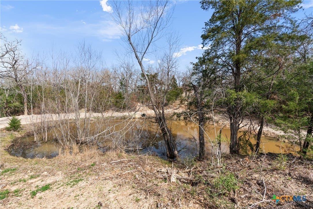 10.07 acres in Milam County - photo 23