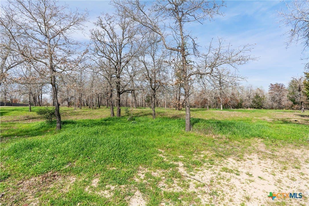 10.07 acres in Milam County - photo 12