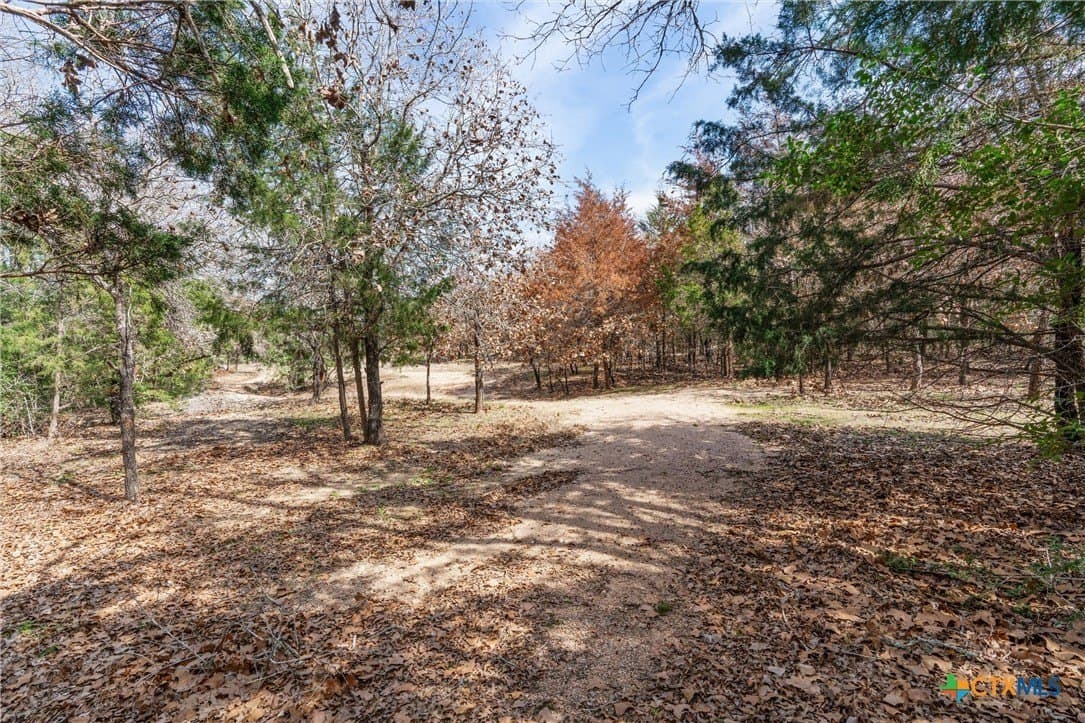10.07 acres in Milam County - photo 16