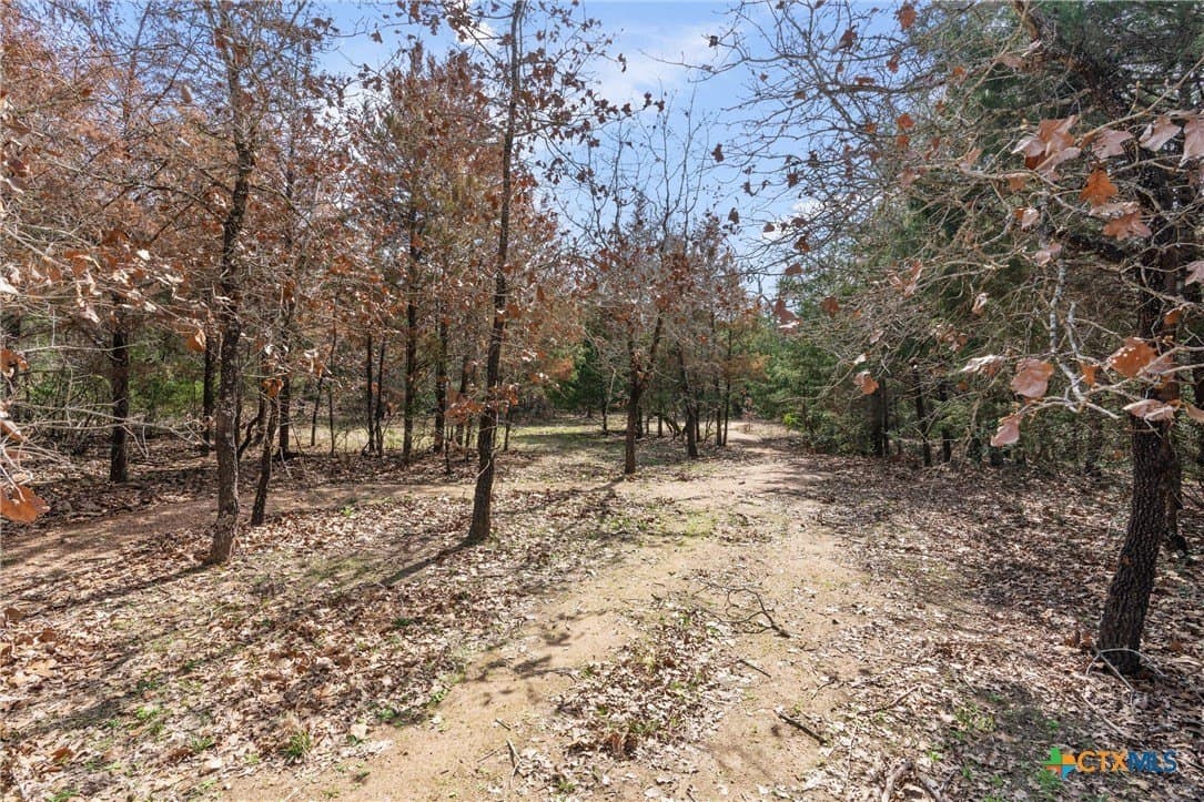 10.07 acres in Milam County - photo 17