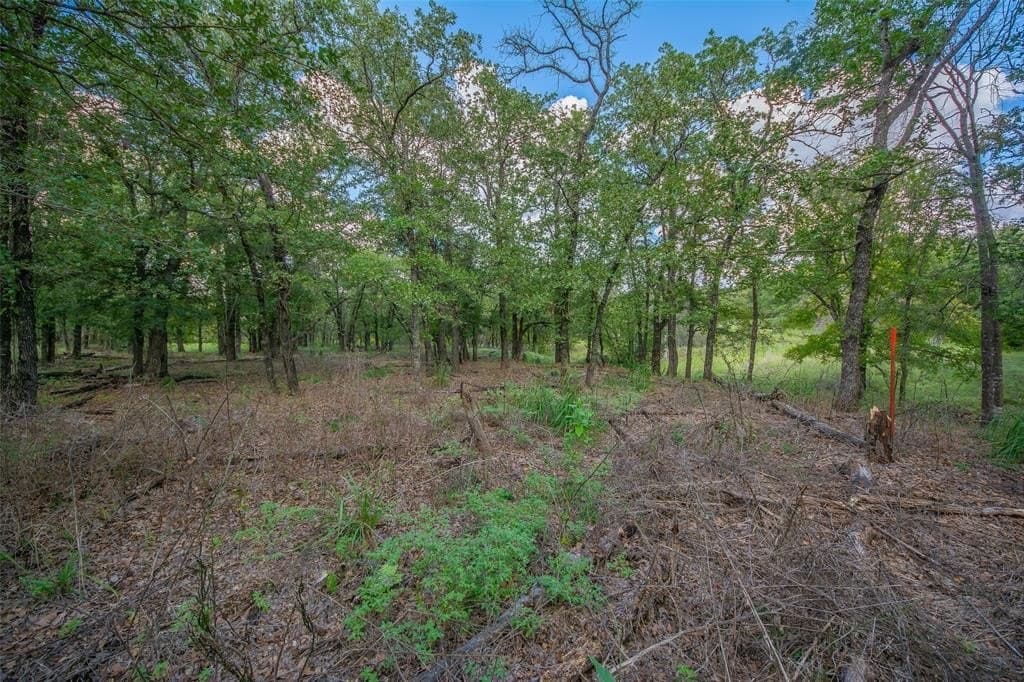 10.01 acres in Wise County - photo 8