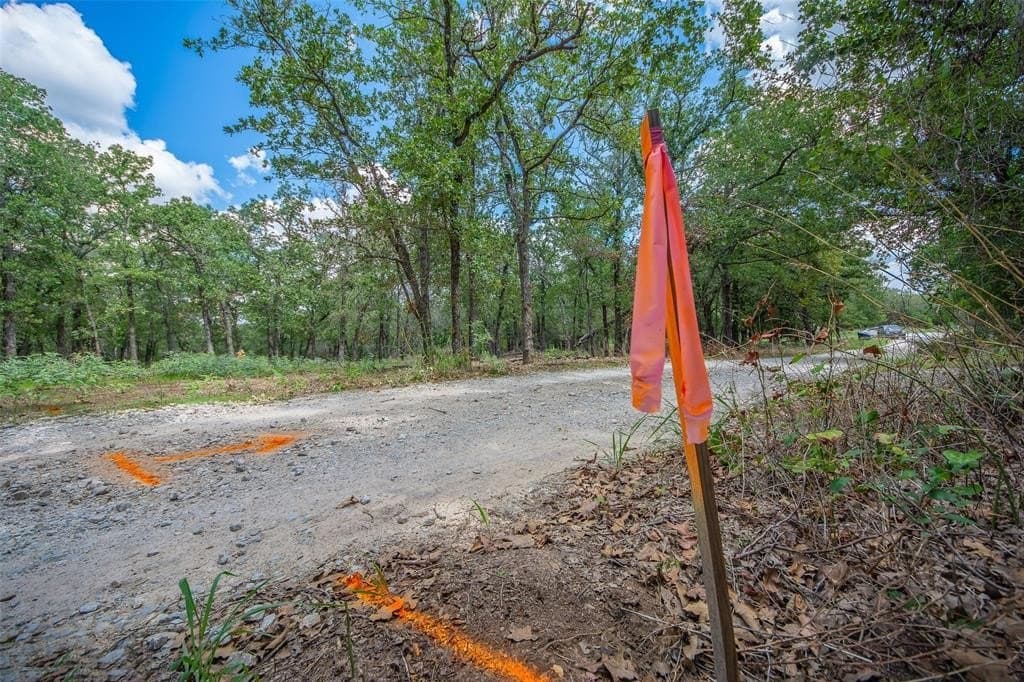 10.01 acres in Wise County - photo 2