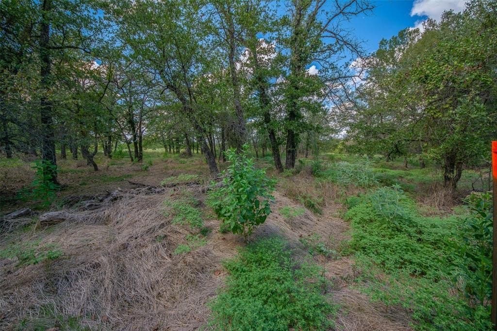 10.01 acres in Wise County - photo 7