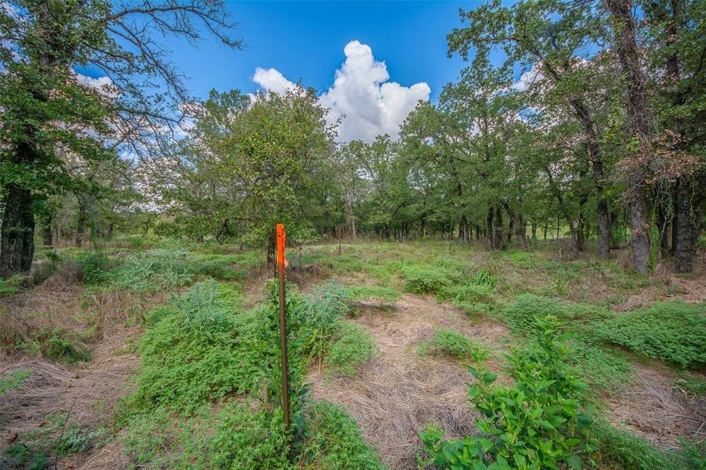 10.01 acres in Wise County - photo 6