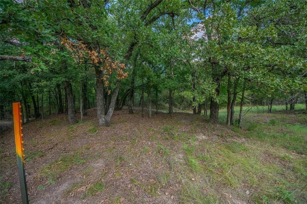 10.01 acres in Wise County - photo 5