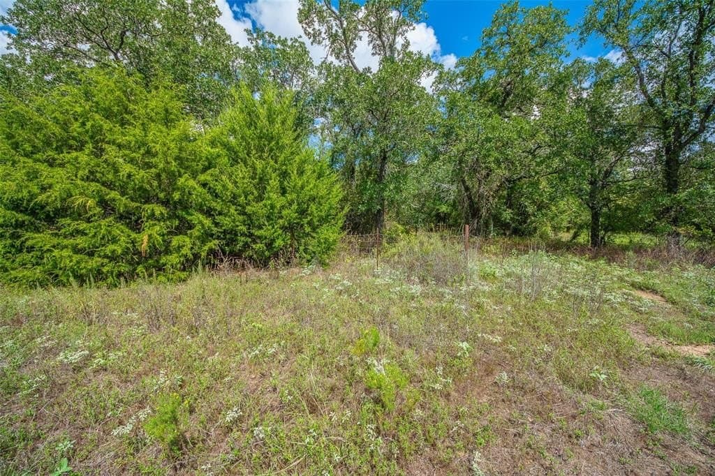 10.01 acres in Wise County - photo 10