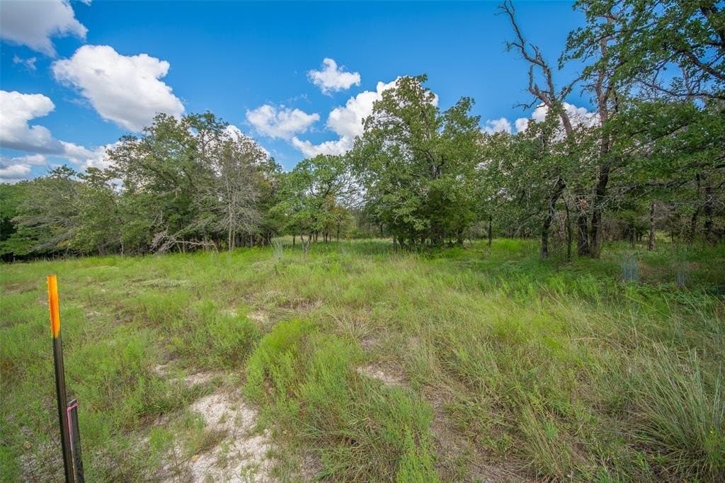 10.01 acres in Wise County - photo 4