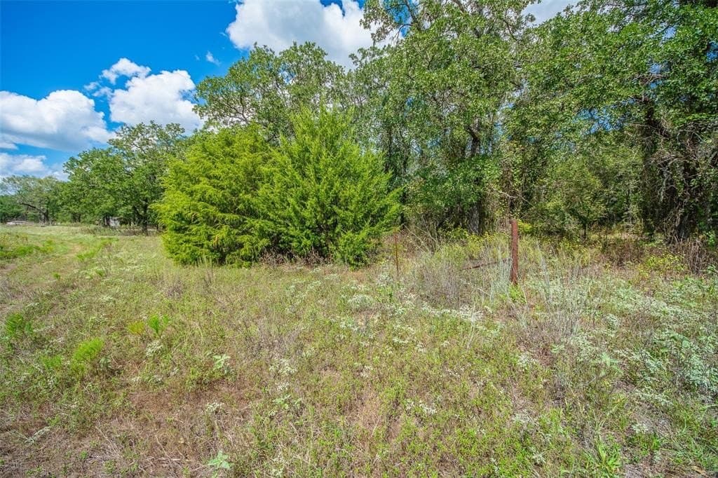 10.01 acres in Wise County - photo 11