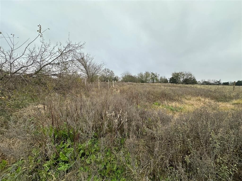 2.5 acres in Limestone County - photo 15