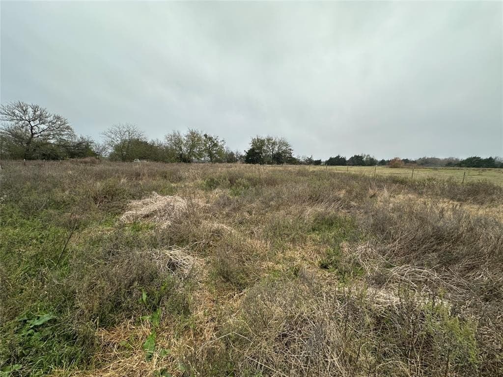 2.5 acres in Limestone County - photo 18