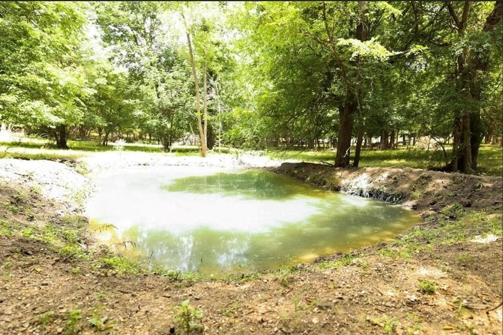 11.12 acres in Fannin County - photo 35