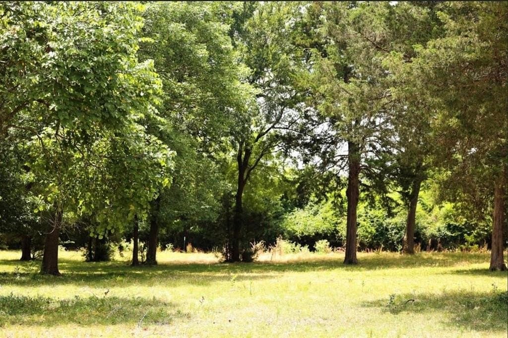11.12 acres in Fannin County - photo 34