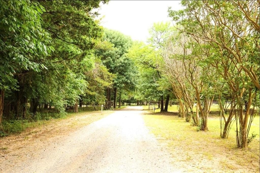 11.12 acres in Fannin County - photo 28