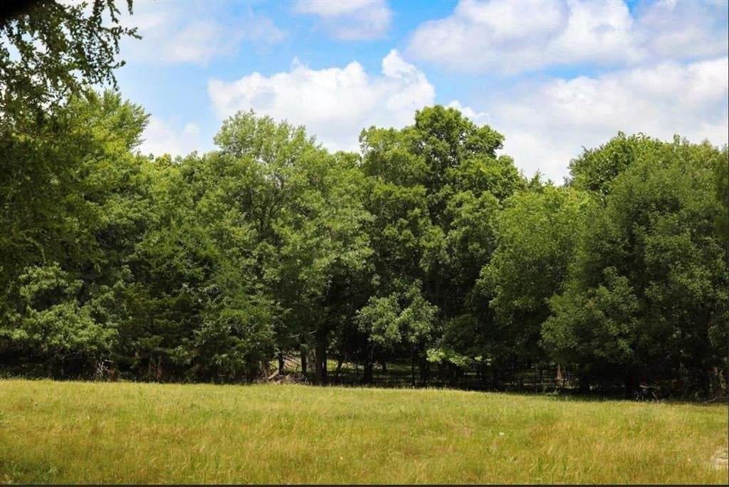 11.12 acres in Fannin County - photo 36