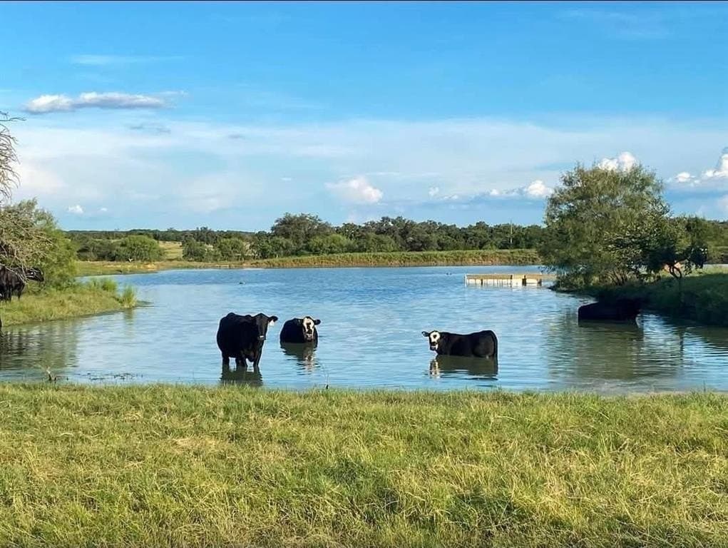 5 acres in Palo Pinto County - photo 4