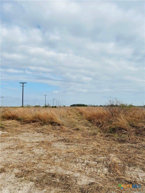 31.5 acres in Aransas County - photo 29