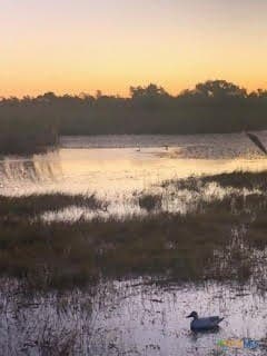 31.5 acres in Aransas County - photo 5