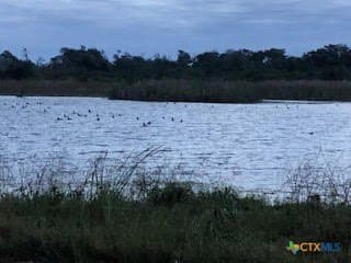 31.5 acres in Aransas County - photo 10