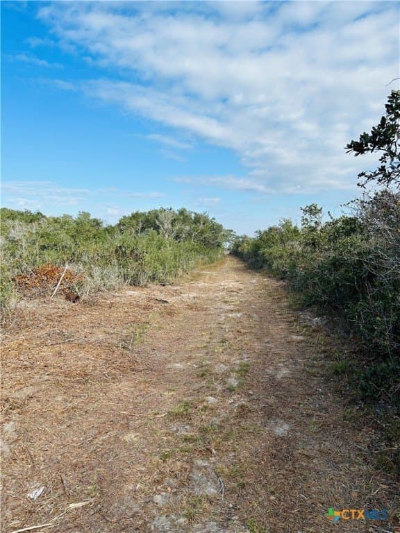 31.5 acres in Aransas County - photo 20