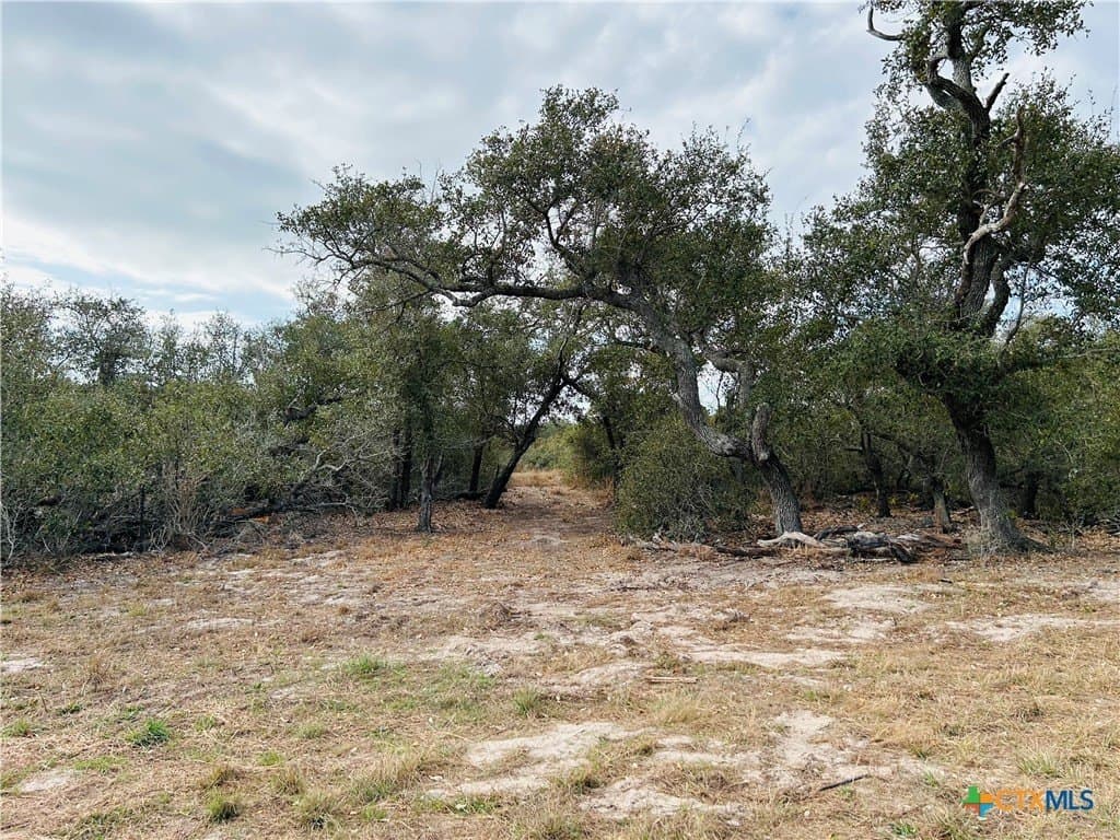 31.5 acres in Aransas County - photo 23