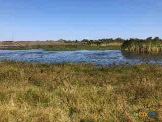 31.5 acres in Aransas County - photo 14