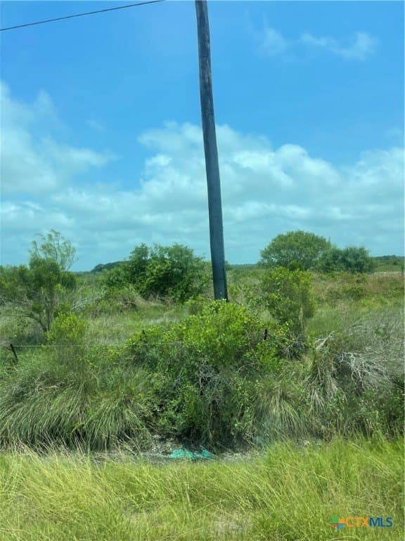 31.5 acres in Aransas County - photo 7