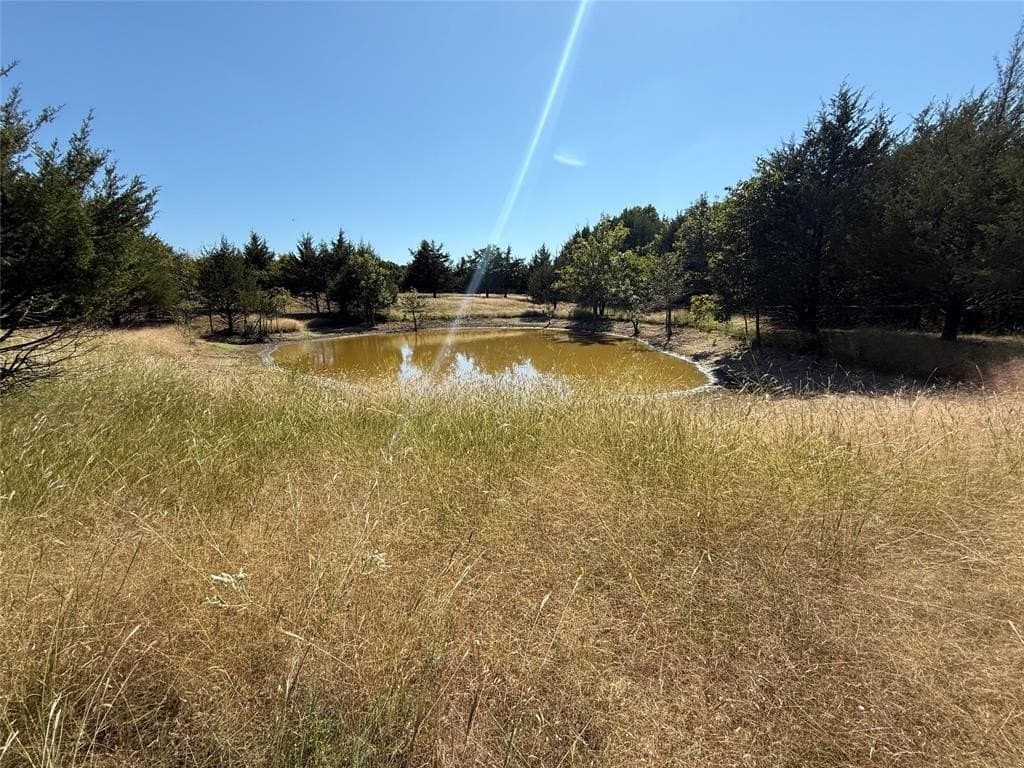 20.63 acres in Collin County - photo 4