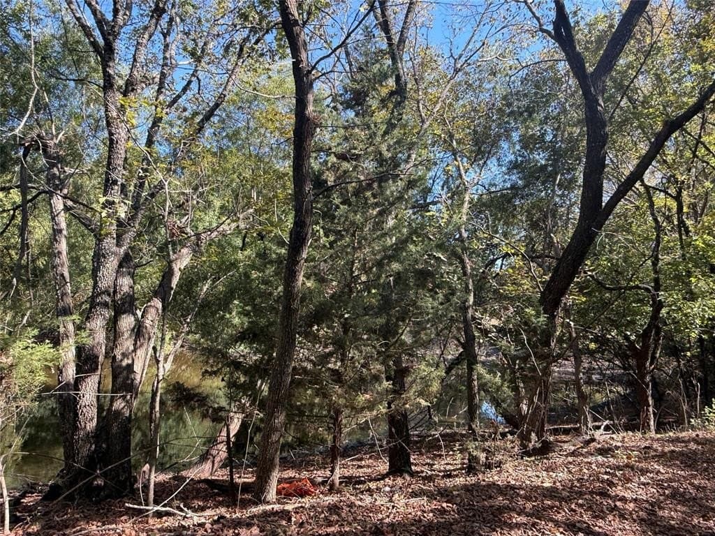 20.63 acres in Collin County - photo 16