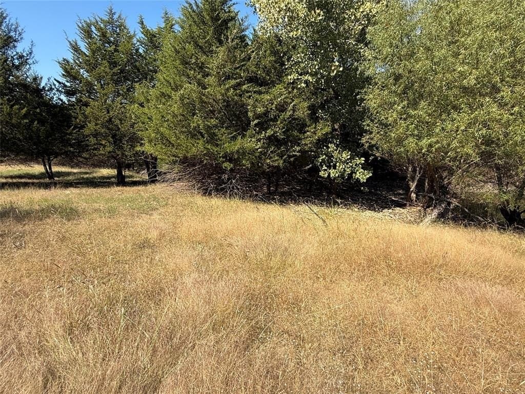 20.63 acres in Collin County - photo 9