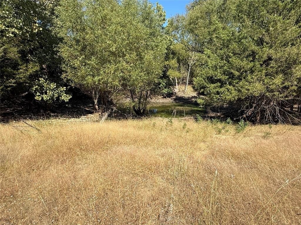 20.63 acres in Collin County - photo 8