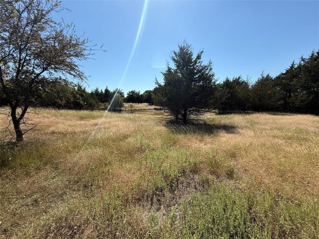 20.63 acres in Collin County - photo 5