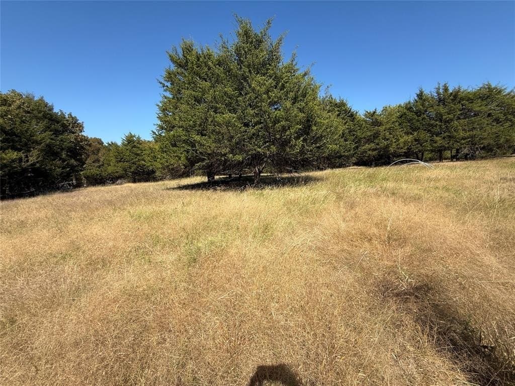 20.63 acres in Collin County - photo 6