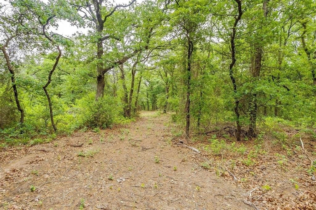 10.18 acres in Erath County - photo 8