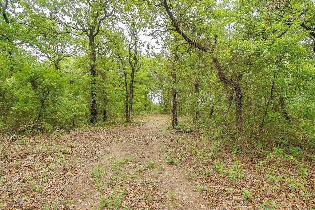 10.18 acres in Erath County - photo 7