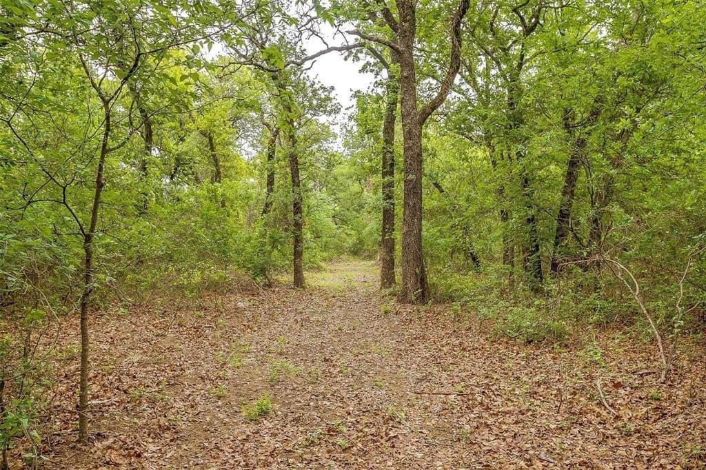 10.18 acres in Erath County - photo 6