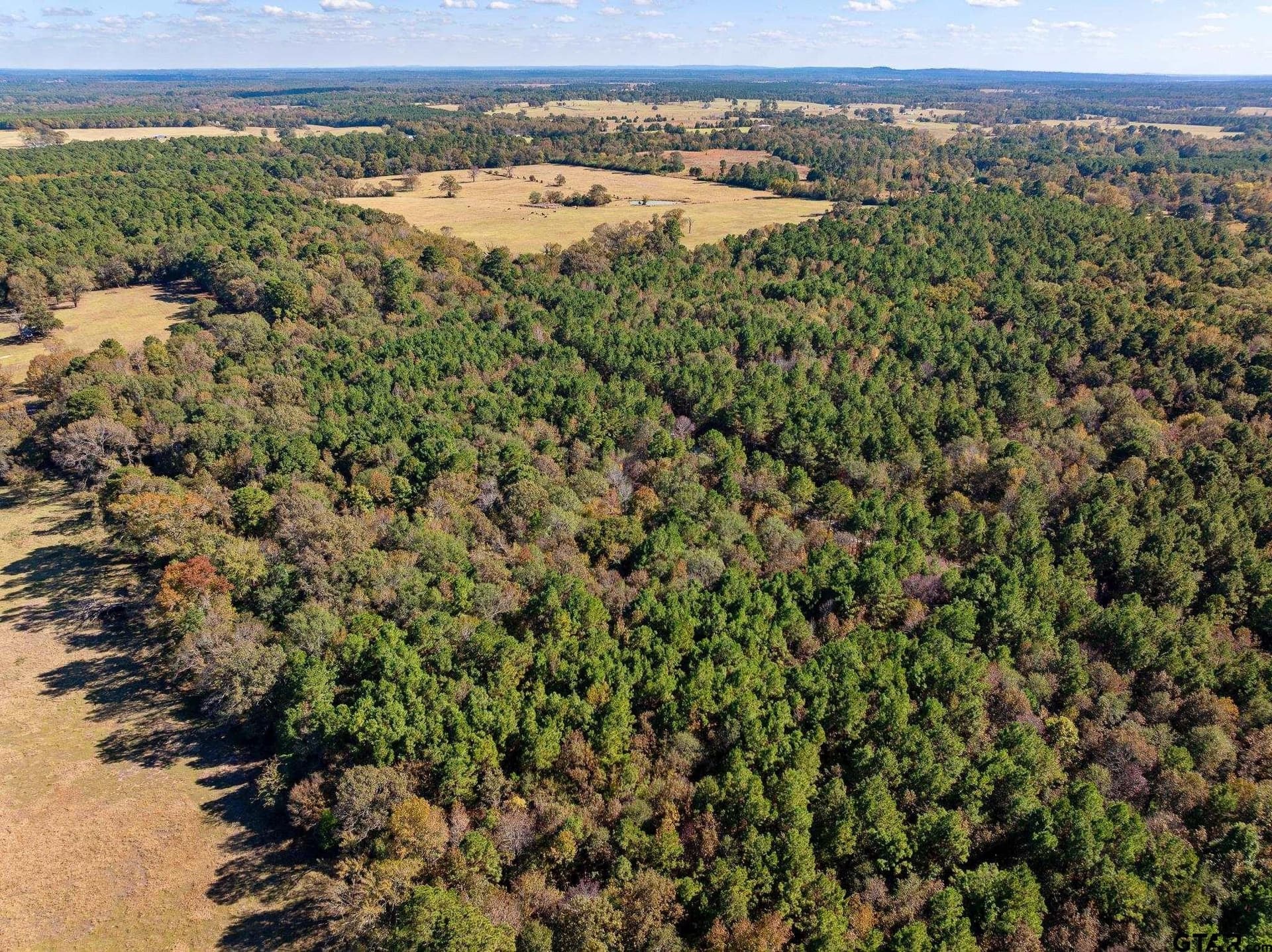 2.44 acres in Cherokee County - photo 10