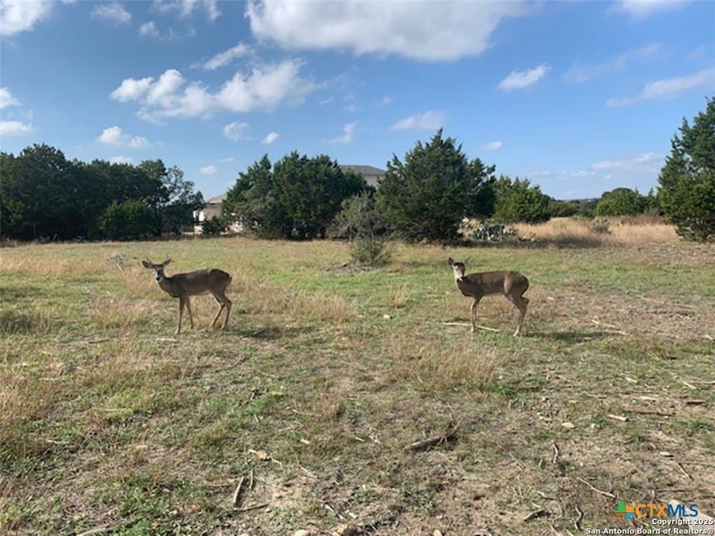 0.84 acres in Comal County - photo 10