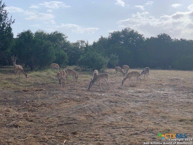 0.84 acres in Comal County - photo 8