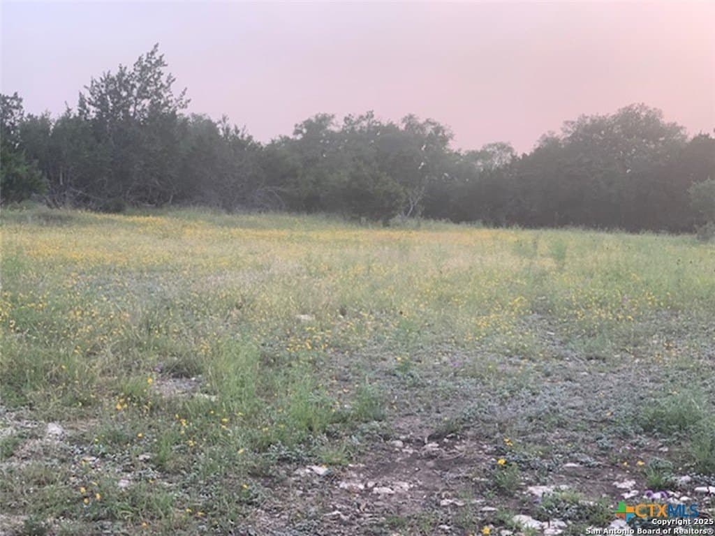 0.84 acres in Comal County - photo 12