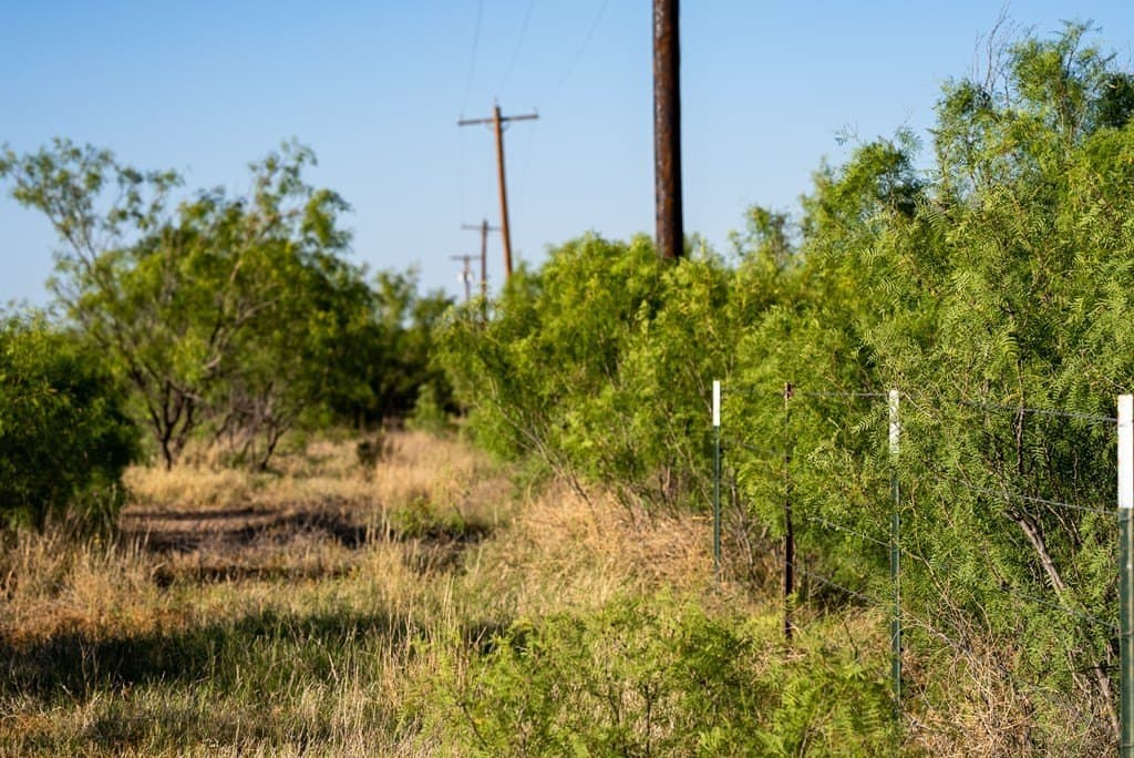 644 acres in Pecos County - photo 10