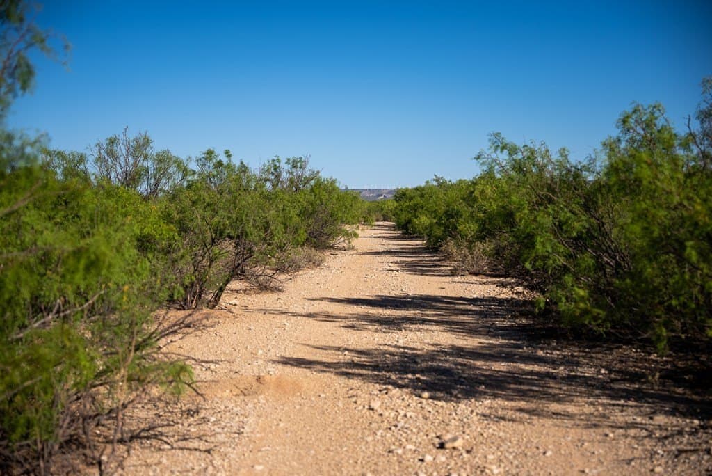 644 acres in Pecos County - photo 15