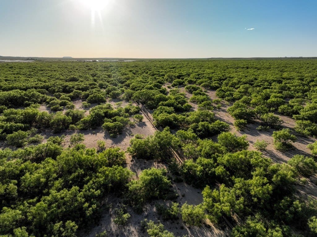 644 acres in Pecos County - photo 8